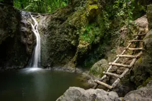 49 20. 252007 Acr Dsc 5568szi