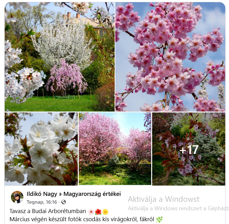 Kepernyokep 2026 04 03 171731