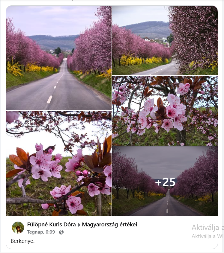 Kepernyokep 2026 04 03 173741