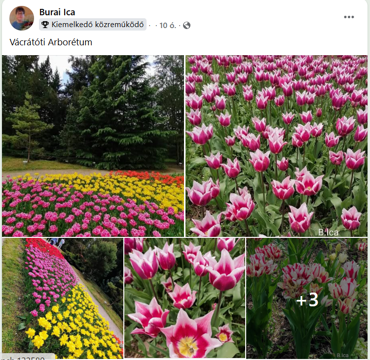 Kepernyokep 2026 04 14 171959