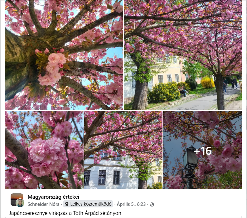 Kepernyokep 2026 04 14 205802