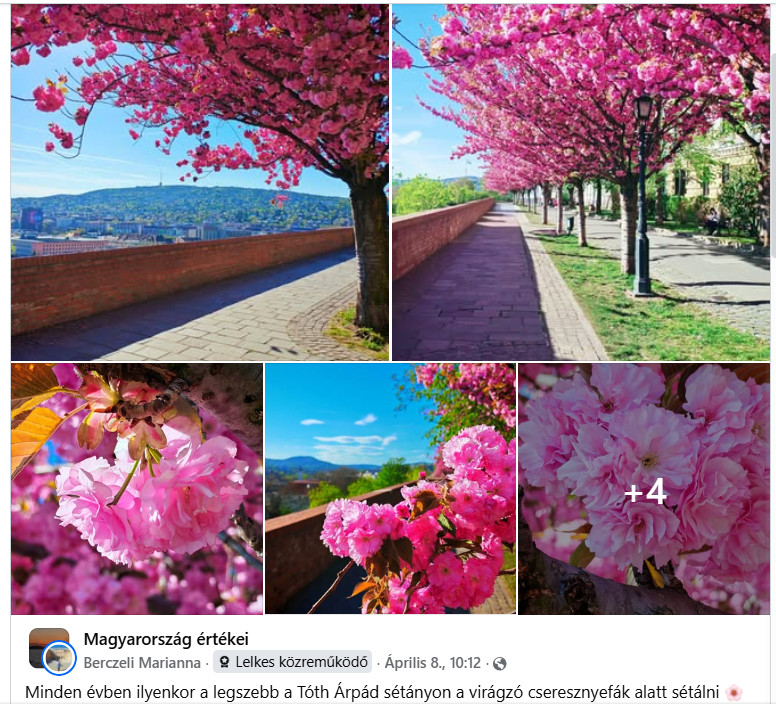 Kepernyokep 2026 04 14 205844