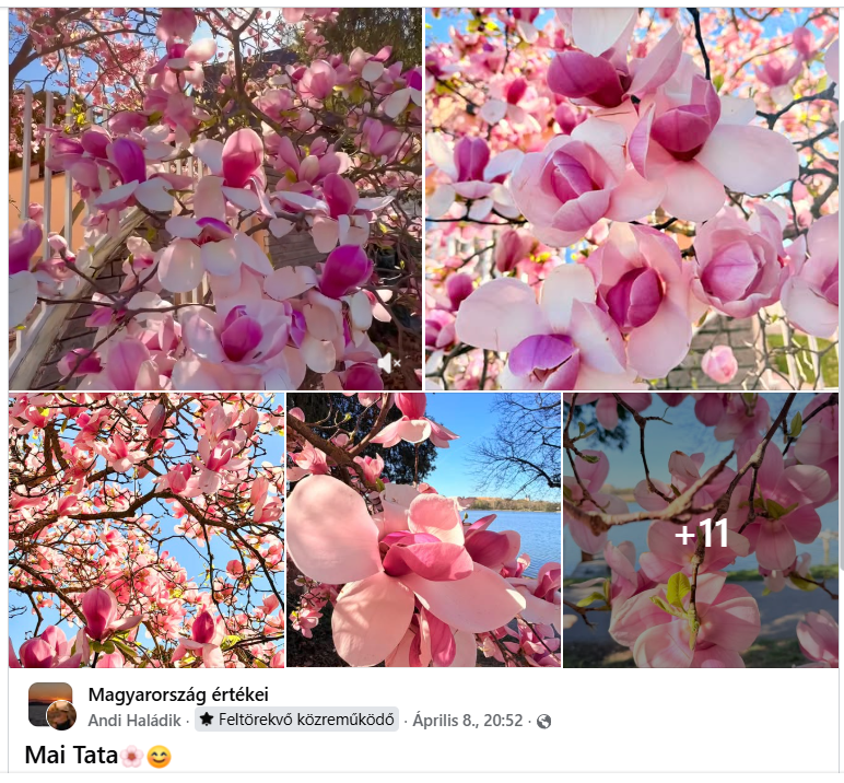 Kepernyokep 2026 04 14 205914