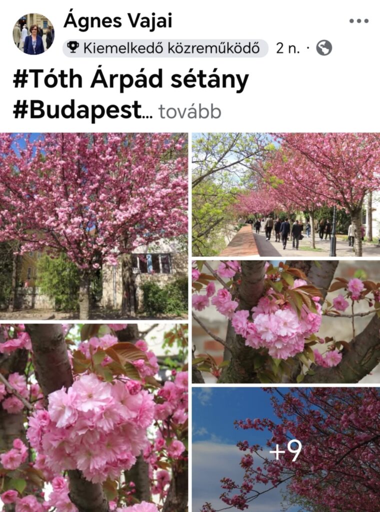 Screenshot 20260407 185612 Edit 824990891576955