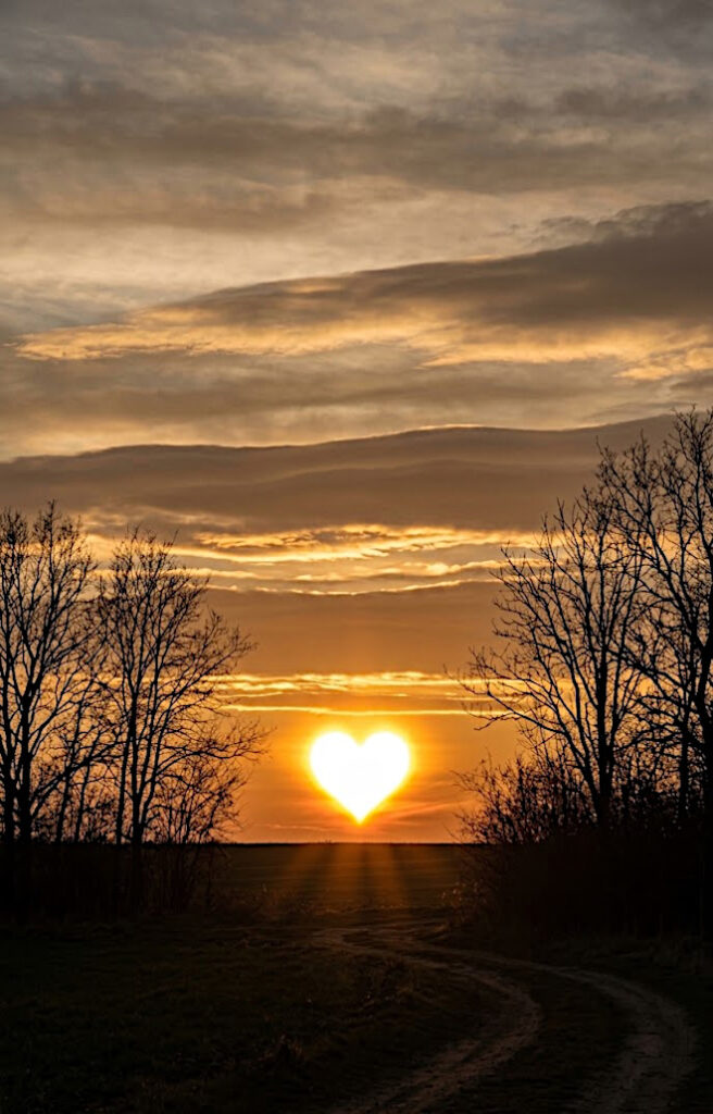 6. Love